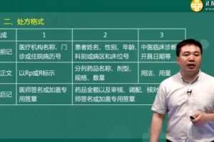 执业药师中药学综合知识与技能 2019闫敬之基础学习班（完结）
