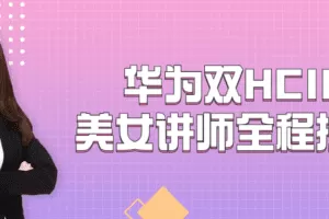 华为双HCIE美女讲师全程授课