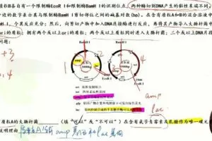 周芳煜 2023年高考生物一轮复习联报包