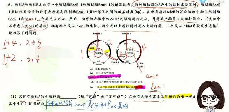 1656371090 周芳煜 2023年高考生物一轮复习联报包