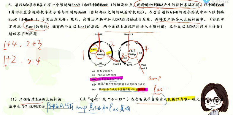 1656371090 周芳煜 2023年高考生物一轮复习联报包
