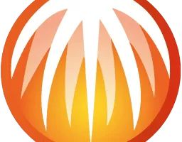 BitComet v1.93解锁全功能豪华版