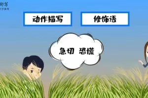 云舒写写作能量包中阶