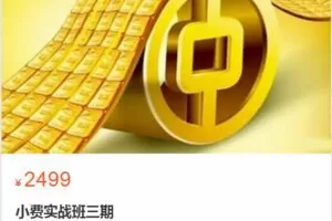 小费实战训练营三期2022.6