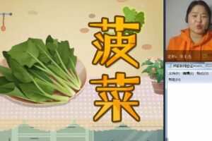 明兮语文二年级终版（完结）