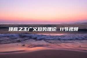 顶底之王广义趋势理论 11节视频