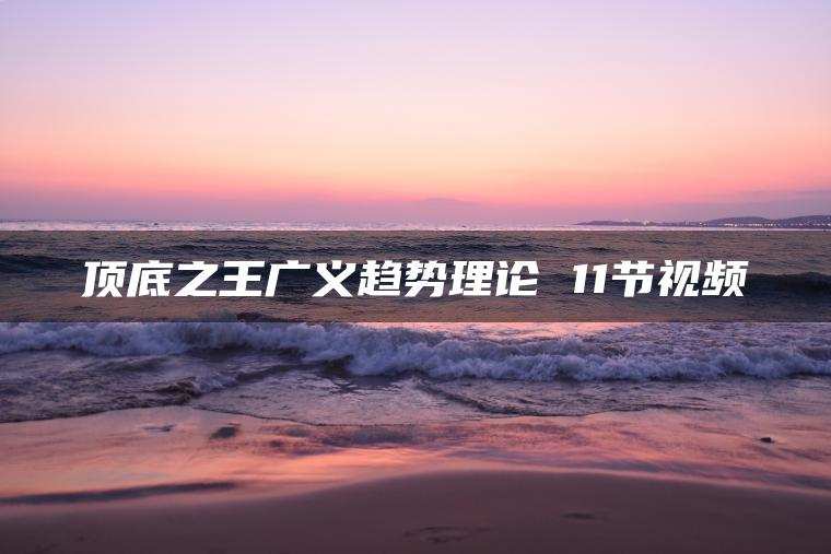 1657404720 顶底之王广义趋势理论 11节视频