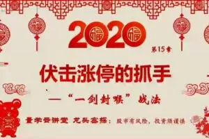 量学龙威武特战队 龙头密探白马密探仲展第31期