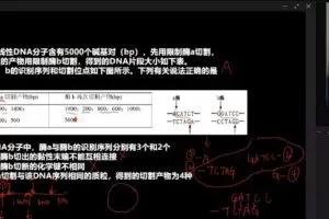 于佳卉 高二生物2023年高考一轮学业规划补充包