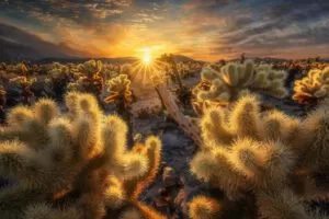 【白一帆】风光摄影实战教程全能篇【画质高清有素材】