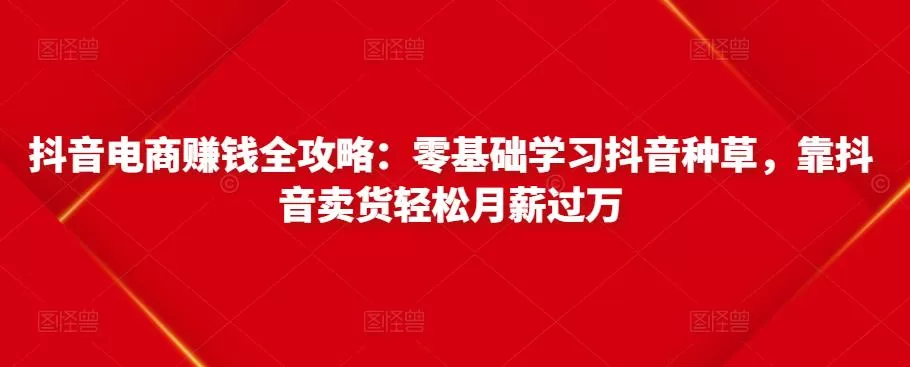 1658004297 抖音电商赚钱全攻略：零基础学习抖音种草，靠抖音卖货轻松月薪过万