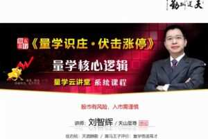 量学云讲堂刘智辉《量学识庄·伏击涨停》35期