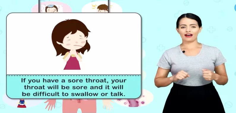 1658079020 图样大脑 小学英语单词全记牢