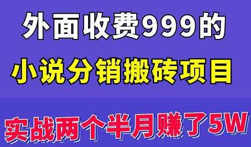 1658256355 外面收费999的小说分销搬砖项目：实战两个半月赚了5W块，操作简单！