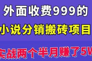 外面收费999的小说分销搬砖项目：实战两个半月赚了5W块，操作简单！