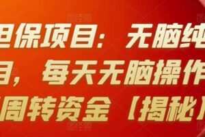 某站担保项目：无脑纯操作类项目，每天无脑操作，需要周转资金【揭秘】