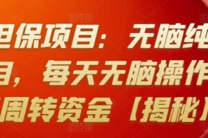 某站担保项目：无脑纯操作类项目，每天无脑操作，需要周转资金【揭秘】