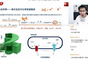 张鹏 2021年高考生物暑期清北班