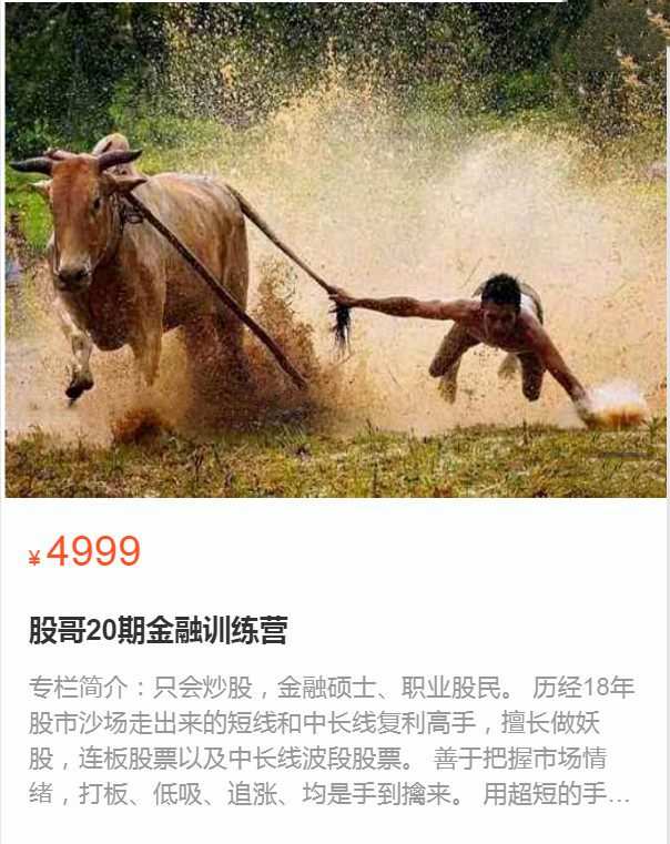 股哥训练营 只会炒股第20期 1 1659245583 股哥训练营 只会炒股第20期