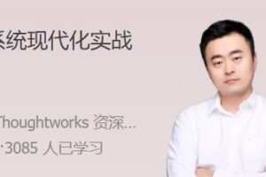 遗留系统现代化实战 帮你走出遗留系统的泥潭