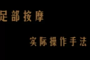 足疗：陈炳乐中医足疗教程