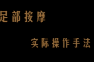 足疗：陈炳乐中医足疗教程
