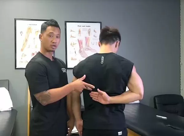 1640640987 体态纠正和康复训练21节中外大师讲解