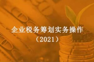 企业税务筹划实务操作（2021）