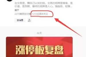 公众号大V【看懂龙头股】复盘哥专栏 带盘群+课程