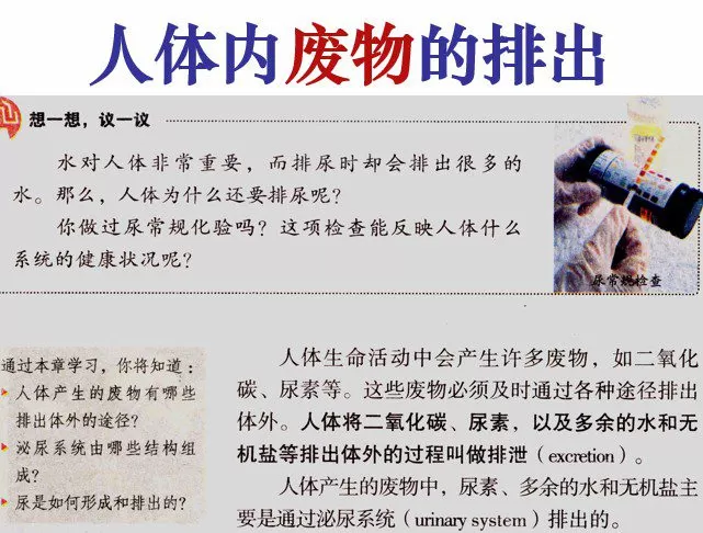 1652292724 初中生物七年级下册优质课件教案试题打包