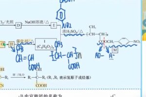 林森 高二化学2022年春季冲顶班 