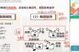 杨雪 高二生物2022年春季系统班 