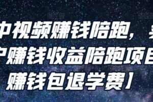 逆冬·中视频赚钱陪跑，卖中视频账户赚钱收益陪跑项目【不赚钱包退学费】