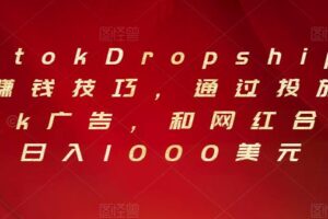 Tiktok Dropshipping赚钱技巧，通过投放Tiktok广告，和网红合作，日入1000美元