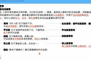 海曼教育初一生物下学期课程