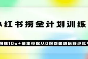 《小红书捞金计划训练营》粉丝10w+博主带你从0粉到变现玩转小红书（72节课)