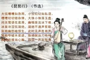 吴婉秋 思泉大语文三年级语文 