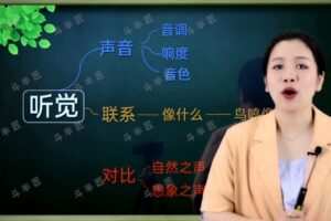 西西老师小学作文课 五感法写作文 