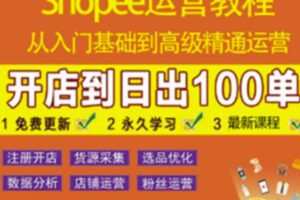 shopee运营教程：从入门基础到高级精通，开店到日出100单（全套课程）