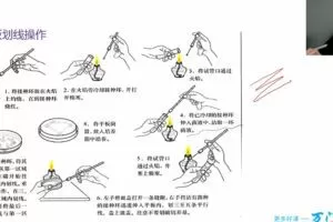 万门中学-翟思茗 高中生物选修一基础+串讲
