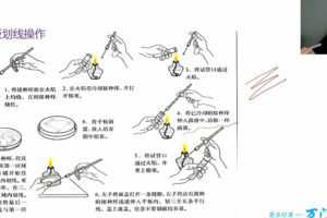 万门中学-翟思茗 高中生物选修一基础+串讲