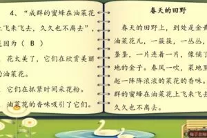 梅子老师大语文一年级阅读理解启蒙50讲（苗苗班）（完结）