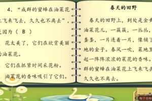 梅子老师大语文一年级阅读理解启蒙50讲（苗苗班）（完结）