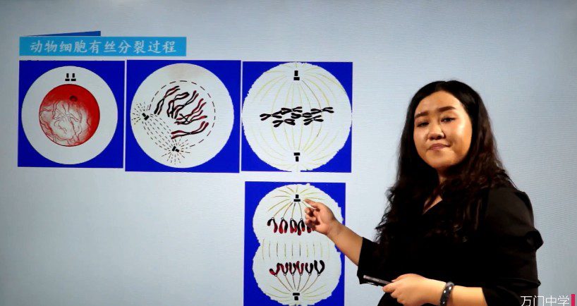 1659620630 万门中学 翟思茗 高中生物必修一基础班（人教版）