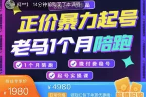 老马电商·正价暴力起号，0粉丝0作品起号实操，微付费稳号（价值1980元）