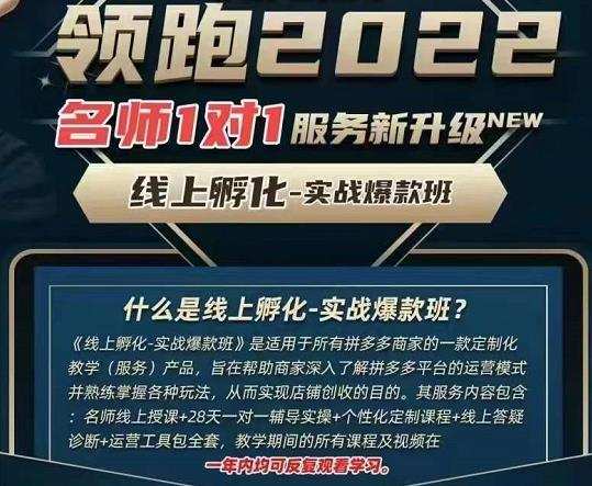 牛气学堂老陶电商【第9期】,拼多多名师线上领跑28天,线上孵化-实战爆款班 1 1659718501 牛气学堂老陶电商【第9期】,拼多多名师线上领跑28天,线上孵化 实战爆款班
