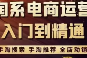 淘系电商入门到精通手淘搜索，手淘推荐，全店动销（价值1099元）