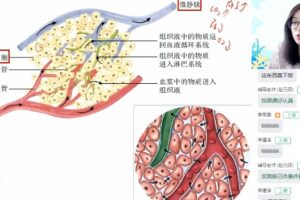 作业帮2023高一生物周云暑假A+班 