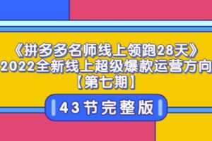 《拼多多名师线上领跑28天》2022全新线上超级爆款运营方向【第七期】43节课