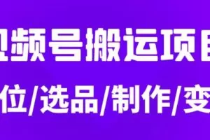 从0到1玩转视频号，月入5位数的视频号搬运项目，定位+选品+制作+变现全流程